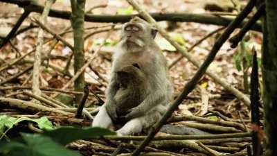 I FUCKING LOVE NATURE AND WILDLIFE