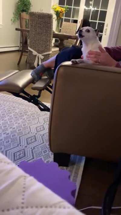 Ах ты ж сука