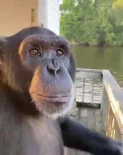 I'm 15 and this is yeet