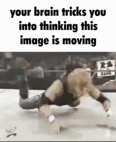 I like to move it, move it