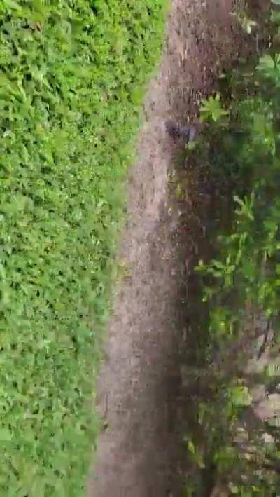 Karen harrases couple for doing photoshoot