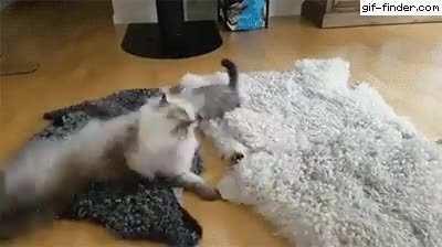 Watch out, little one, we're starting ninja training! Lesson One...