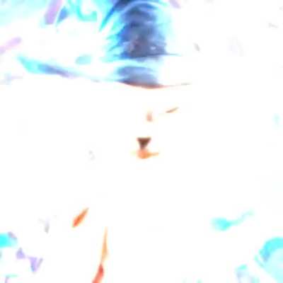 EVIL FUCKING CAT WIZARD GO!!! ⚡️⚡️⚡️