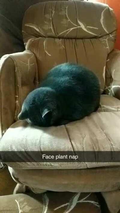 I see your derp nap and raise you a Lucy derp nap