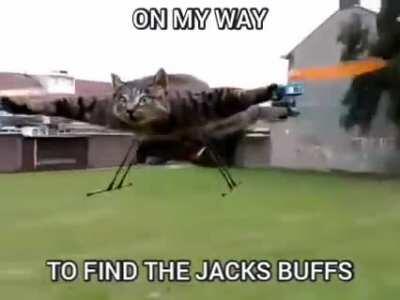 Don't worry guys I will got us the jacks buffs!!!