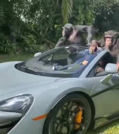 My life be like oo aa 😎