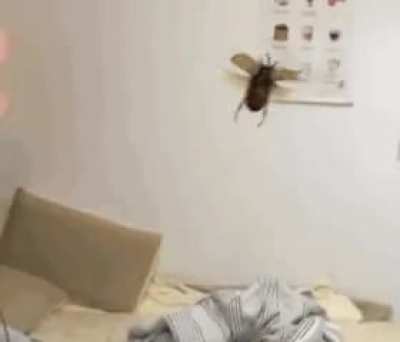 would you rather have 1 dollar or 2 dollars