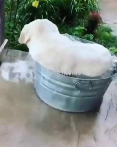 Finally a water bowl big enough for me