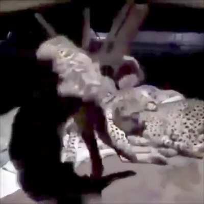 How do I become this person?!