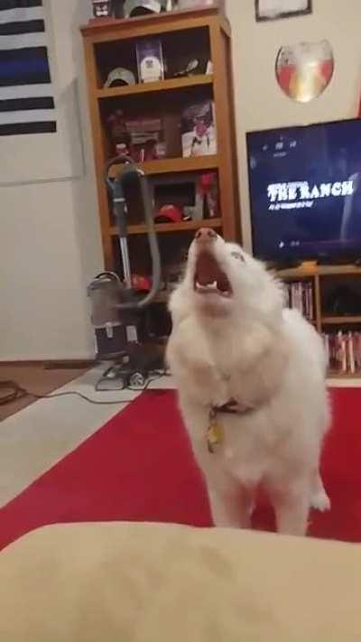 Let me eat! Let me eat! Hurry up