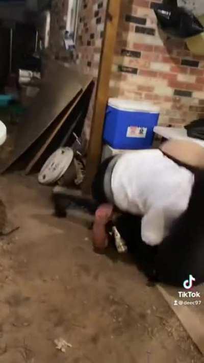 The poor violin player 😂