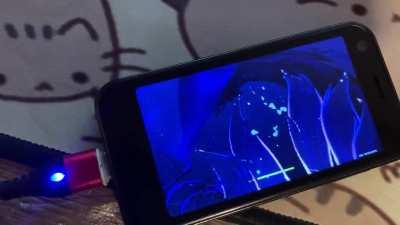 Genshin Impact on a cheap 3-inch mini phone. Had to charge it twice during installation.