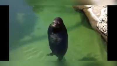 guys qual o nome da musica?