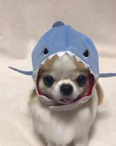 Seeing her, my heart has melted