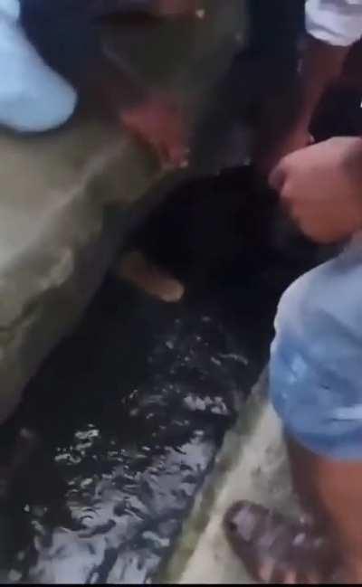 Gotta go! My sewer people need me!!