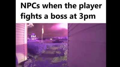 NPCs when you fight a Boss