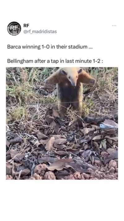 That's Mr. Tapingham to you. 