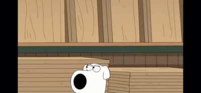 An accurate representation of me going to break, played by Brian the dog.