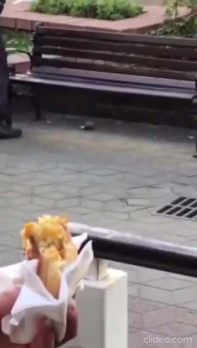 Bomb Squad in Russia