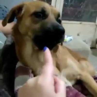 Toco bem nesse assunto 😳