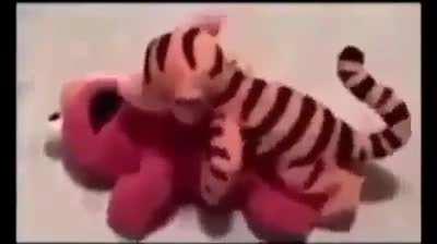 The fuck did my friend send me?!