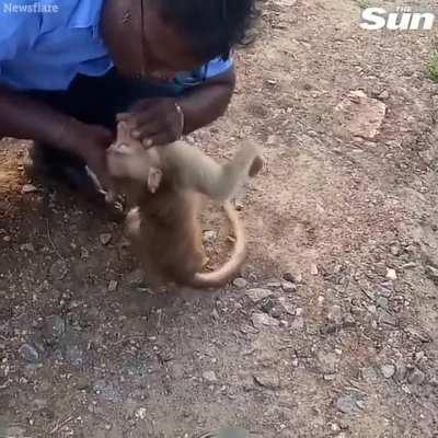 Monke almost walked towards the light 