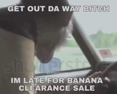 Monkey knows his priorities