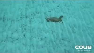 When Mr.Crab wants gis money, he will follow you anywhere