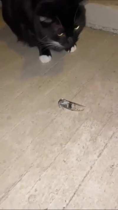 Let me just touch it