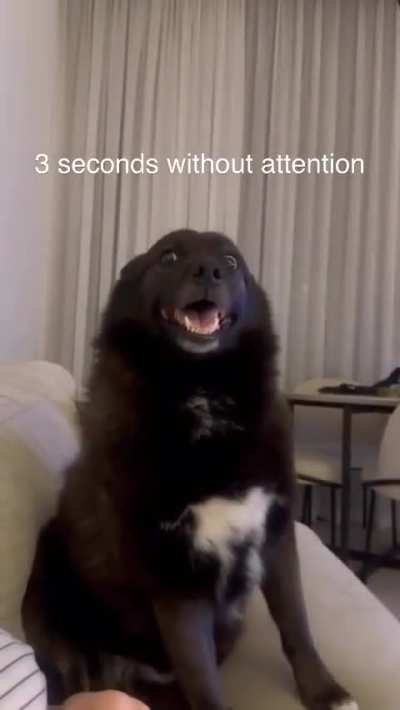 Why did you stop?