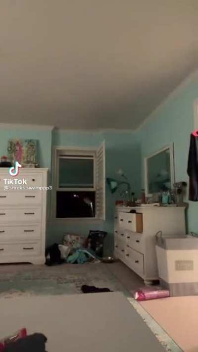 My plushie people need me