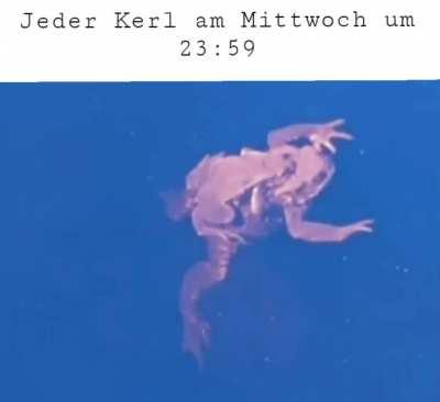 ich_iel