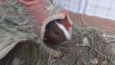 You Didn't See Anything