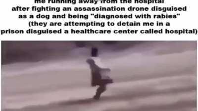 THEY WILL NEVER CATCH ME ALIVE