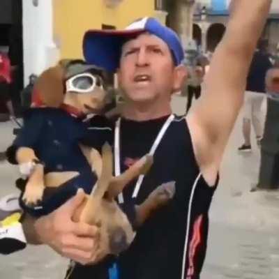 turkish dogs so clever