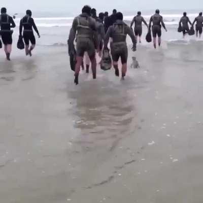 He just wants to be like the big seals and fit in