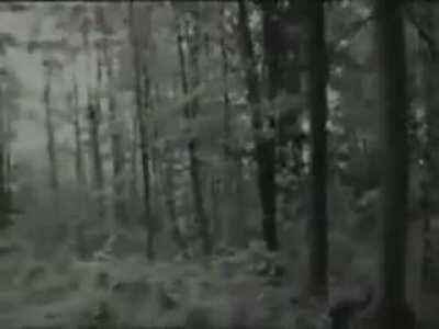 Shadow People in 1997, Emerson