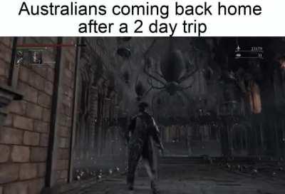 they turned spiders from baldborne into a real thing