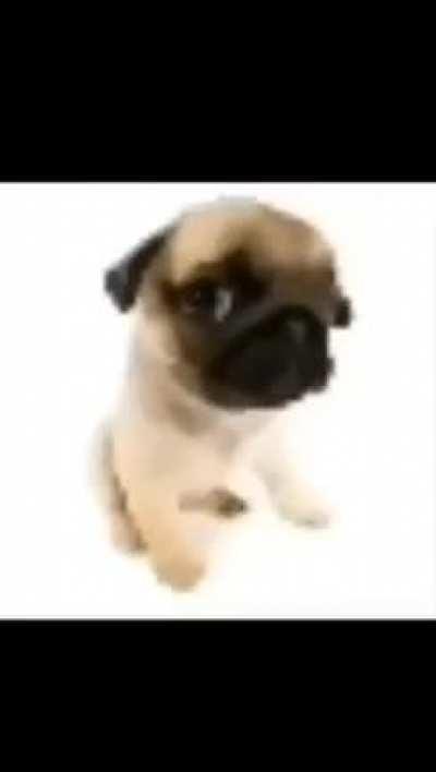 resumo da live de hj: