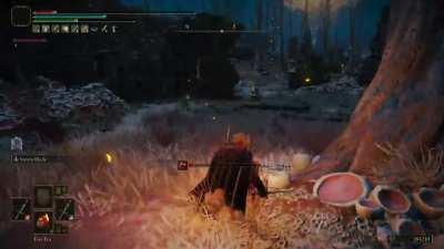 I thought I would be safe sniping from a distance. I was wrong lmao. Somehow made it out alive