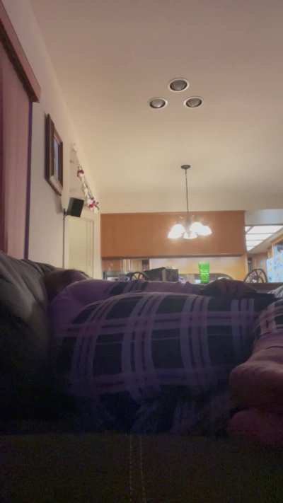 I need a fart 💨 cushion to serve me. Any takers? 😈 😉 