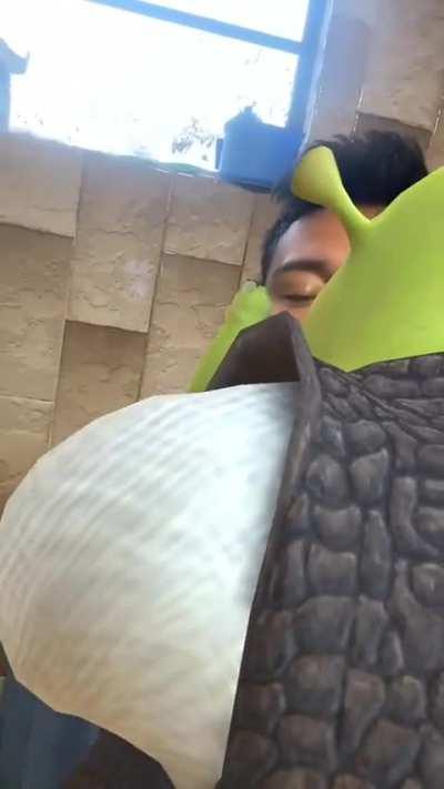 Shrek es amor, Shrek es vida 