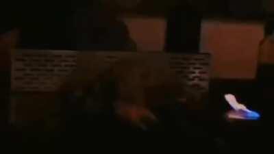 I Was Searching for a Humansareevil subreddit