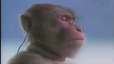 What an amazing soundtrack