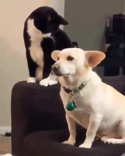 Peace was never an option