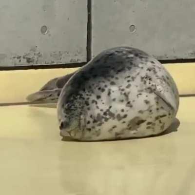 It’s hard to get up in the morning when you look like a blob of cookie dough