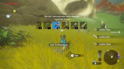 Horse banishes Link to the underworld