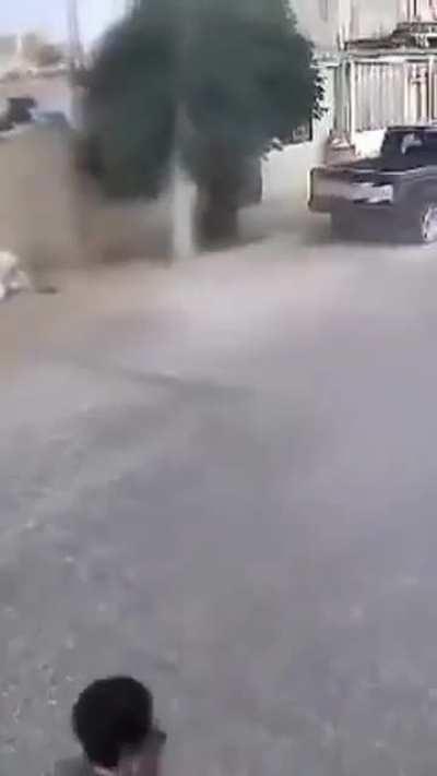 BeelcitosMemes - Video #4765