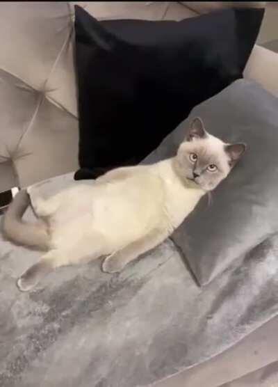 After a long day at work..