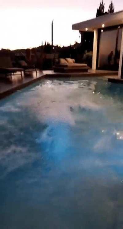 Sommer | pool jump | Snapchat | Jan 2023